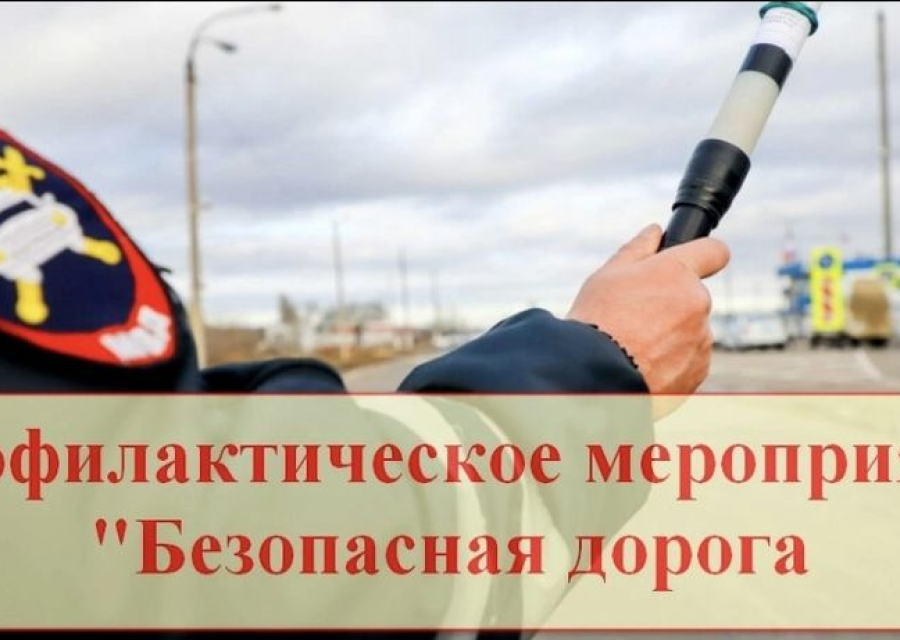 Оперативное профилактическое мероприятие «Безопасная дорога».